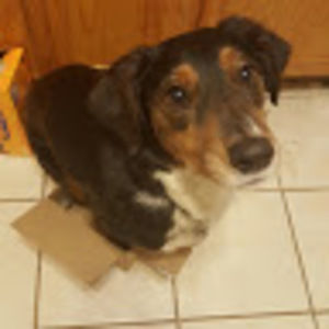 Meet your Posher, Catherine